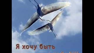 Видео Для любви не важно расстояние.... (автор: orechovo)