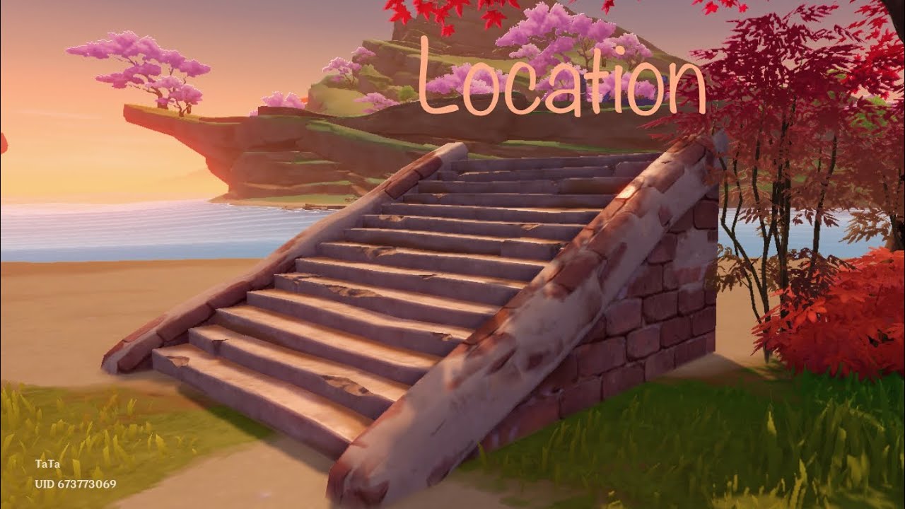 Desert Stone Steps: Climbing/ Remarkable Chest