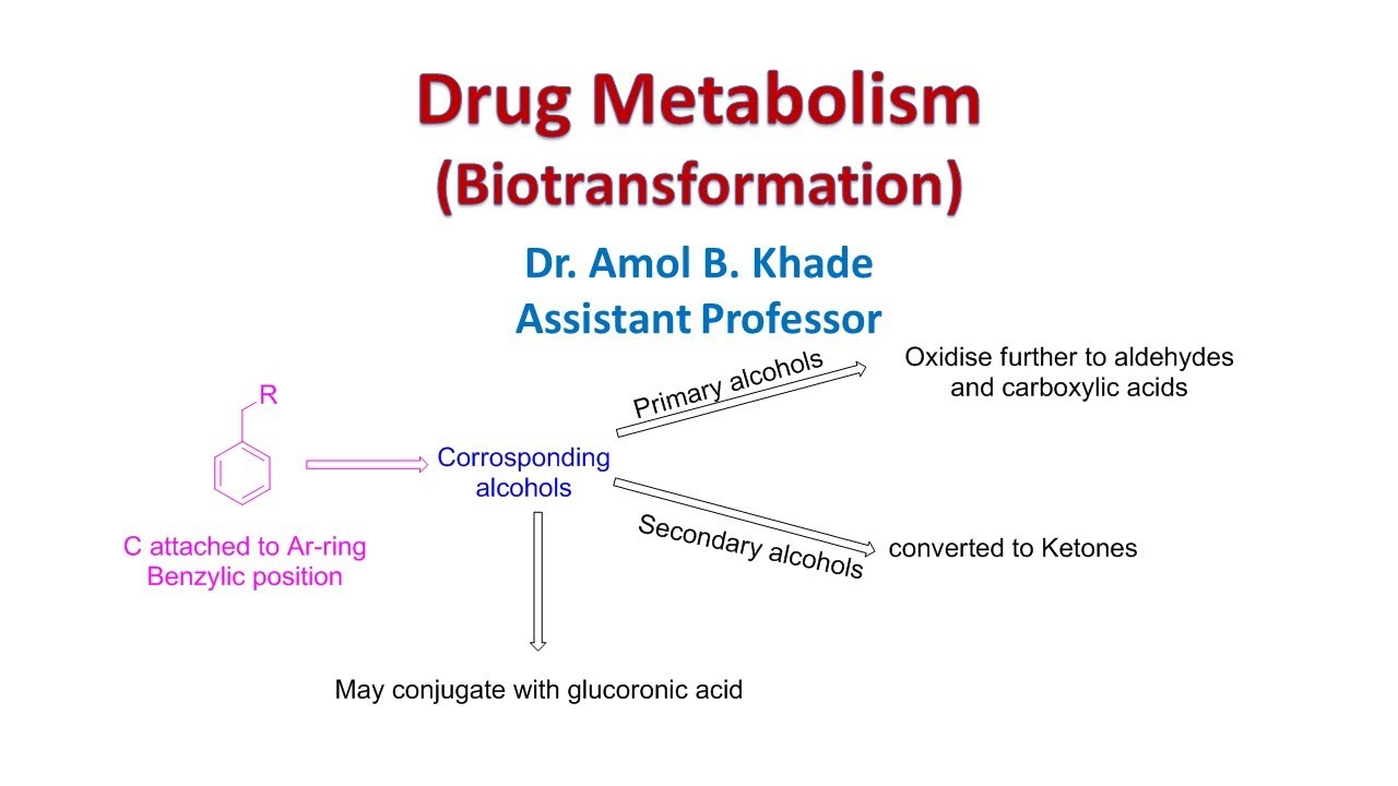 Drug Metabolism Part 3
