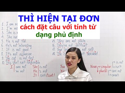 Video Thì Hiện Tại Đơn phần 2 - youtube
