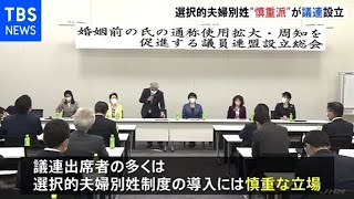 選択的夫婦別姓“慎重派”が議連設立　旧姓の通称使用拡大促進へ