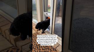 Early training tips #dogdoor #petdoor #dog #cat #patiolink