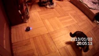 3pi robot