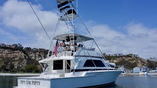 1988 50 Bertram Convertible for sale In Dana Point, CA! Walk Through