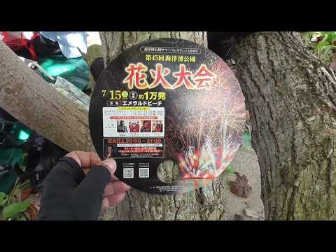 ‎第45回海洋博公園花火大会 4