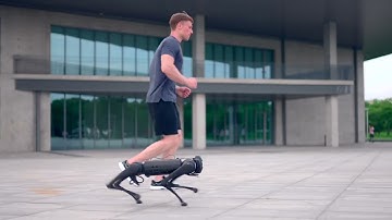 Four-legged bionic robot dog
