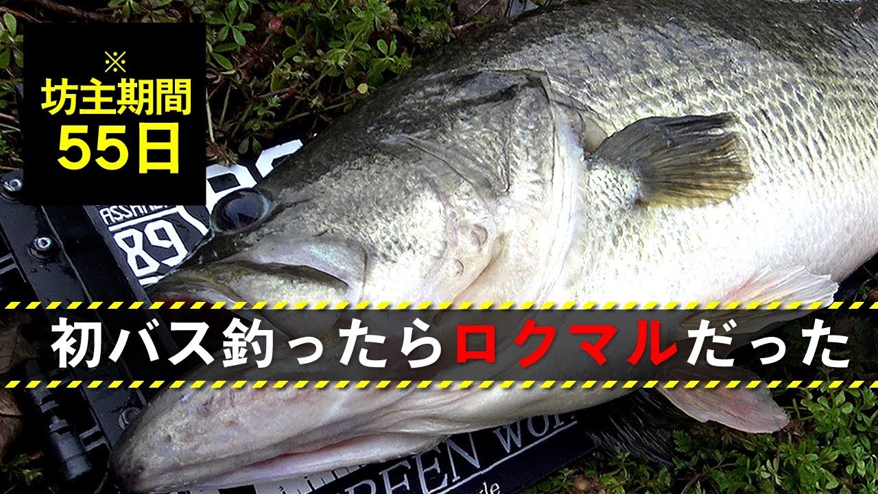 21年版 バス釣り系のyoutuberおすすめ5選 系統別も紹介 Bass Zero 21年版 バス釣り系のyoutuberおすすめ5選 系統別も紹介 Bass Zero