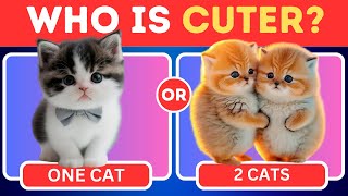 Would you Rather - Cats Edition 😺😻