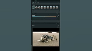 How to use ADJUSTMENT LAYERS in Wondershare Filmora 12 #shorts