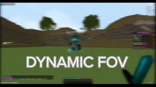 Tôi tập dùng Dynamic FOV để pvp