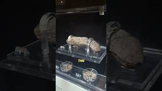 ANCIENT VIKING POOP!!! #science #facts #history