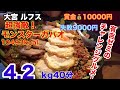 【有吉ゼミ】で紹介されたモンスターガパオ4.2kg40分チャレンジ!失敗9000円、成功賞金10000円のハイリスクハイリターンチャレンジ!【閲覧注意】