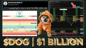 $DOG Next for $1+ Billion Club (Here