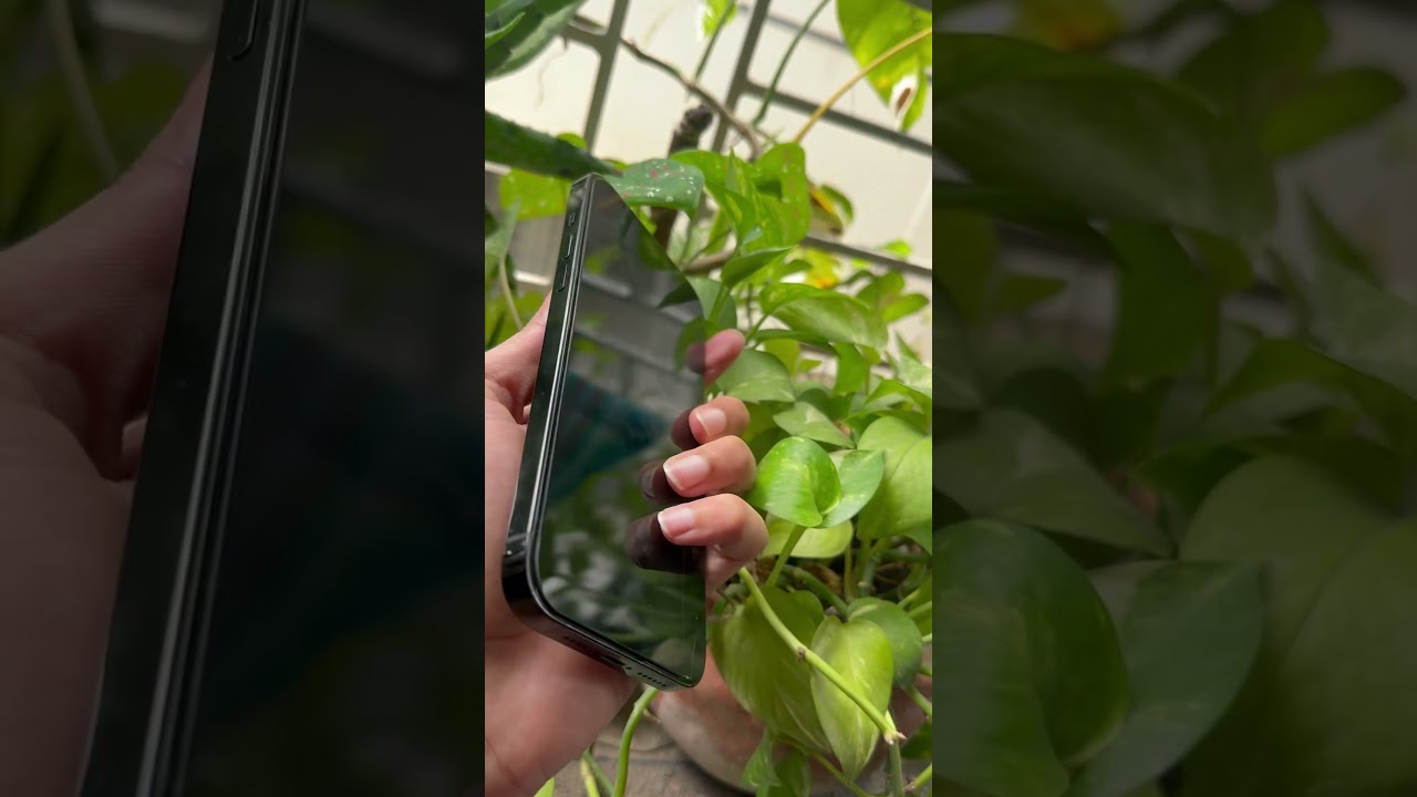 অ্যাপল আইফোন ১৪ প্রো ম্যাক্স ২৫৬ জিবি কালো