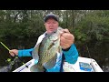 Crappie Fishing the Savannah Area Early Fall