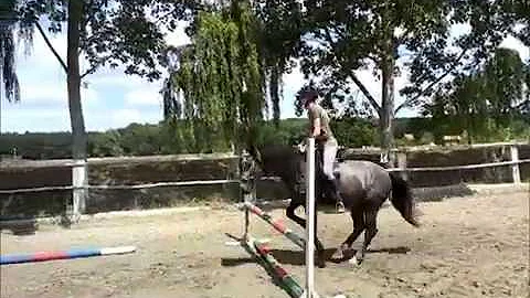 Young horse starting with show jumping 7/2014