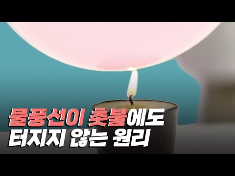 [핫클립] 물풍선이 초에 터지지 않는 <strong>원리</strong> / YTN <strong>사이언스</strong>