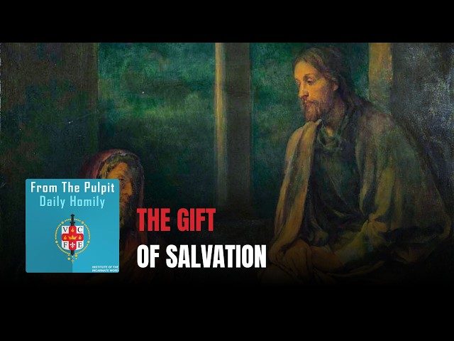 Home 2 Daily IVE Homilies, April 14th, 2026 - Born From Above