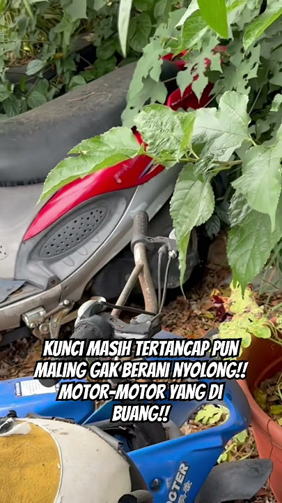 Maling gak berani nyolong motor...