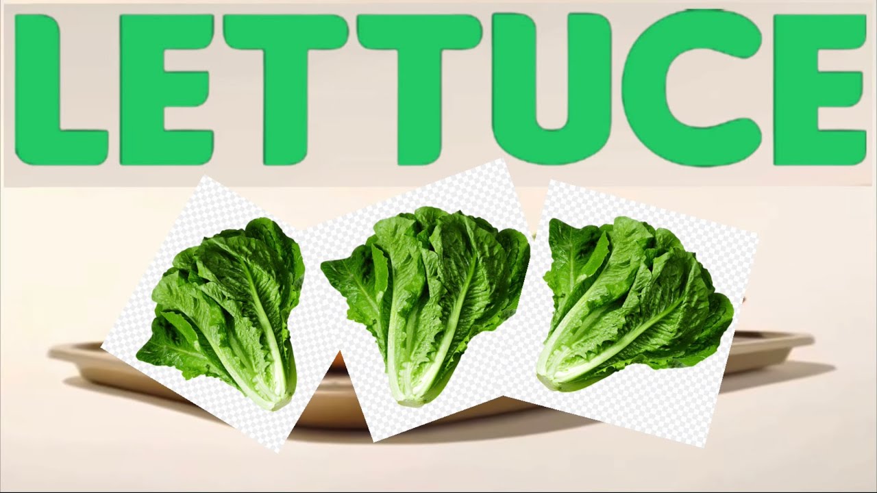 Whopper song but it’s just lettuce YouTube