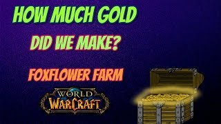 How Much D? From 25 Hours Foxflower - World Of Warcraft