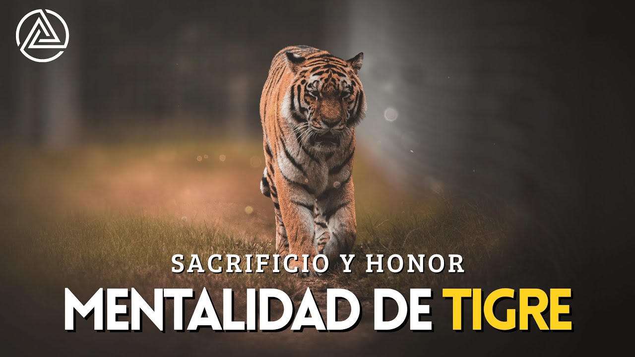 La Mentalidad de Tigre - Poderoso Vídeo Motivador