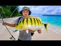 Survival Fishing On Tropical Island In Papua Indonesia