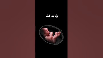 🌙أو لا يذكر الإنسان أنا خلقناه..🌙ماتيسر من سورة مريم 🌙Surah Maryam