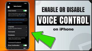 How to Enable or Disable Voice Control on iPhone