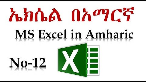 12  Microsoft Excel for Beginners - Basic Tutorial in Amharic Review and View Ethio LiQ