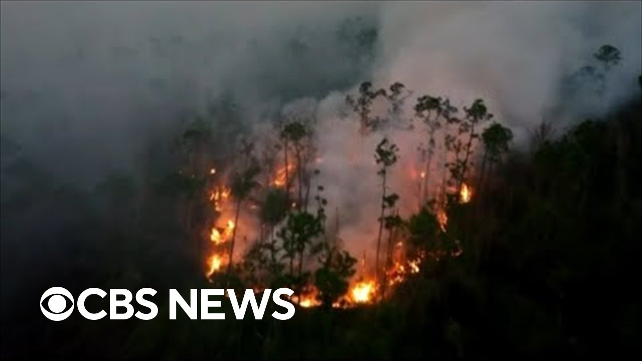 Three wildfires burning the Florida panhandle near Panama City