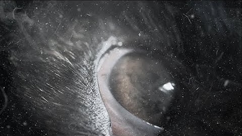 ALTLUT - Prisms of Schisms (OFFICIAL VISUALIZER)