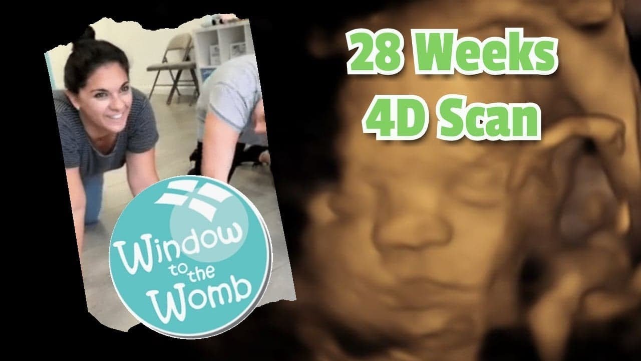 VLOGTOBER DAY 13 - 2019 // 28 Weeks 4D scan / Window to the Womb - YouTube