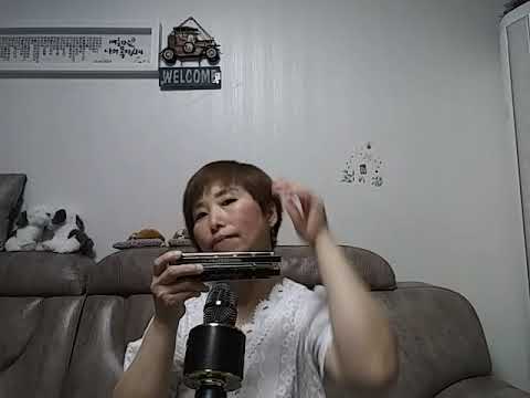 보릿고개(진성/정동원)~하모니카(Am, C) 어르신들의 애청곡으로서  참으로 뜻깊은 노래네요 존경합니다!