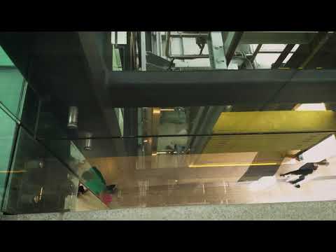 Reproduzir