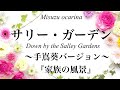 サリーガーデン/ オカリナ演奏/ 手嶌葵『家族の風景』バージョン / Down by theSalley Gardens/  on ocarina