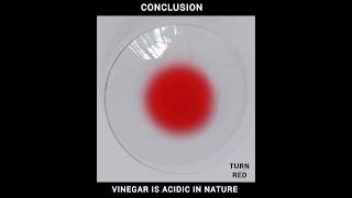 TESTING VINEGAR WITH UNIVERSAL pH INDICATOR SOLUTION