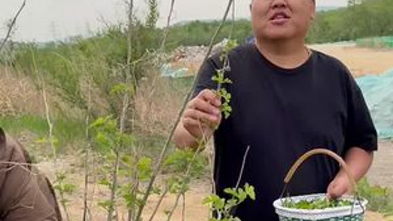 桑叶包子我替你们尝过了，呗呗的真好吃#记录好好的自己 #新农人计划2025 #农村美食 #桑叶