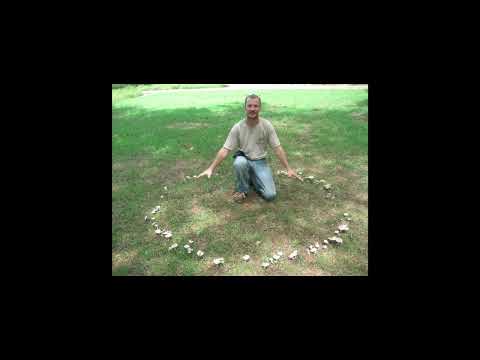 Mushrooms, Molds and Mycorrhizae: A Fungal Immersion Course Part 1 Mushrooms, Molds and Mycorrhizae: A Fungal Immersion Course Part 1