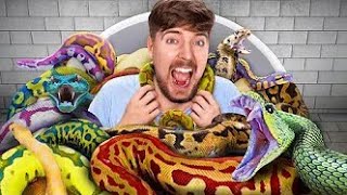 Hit The Target, Win $300,000 mr.beast Net Worth