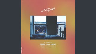 Need You Now (Thimlife Remix)