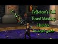 Feltotem's Fall :: Beast Mastery Hunter :: In-depth Guide