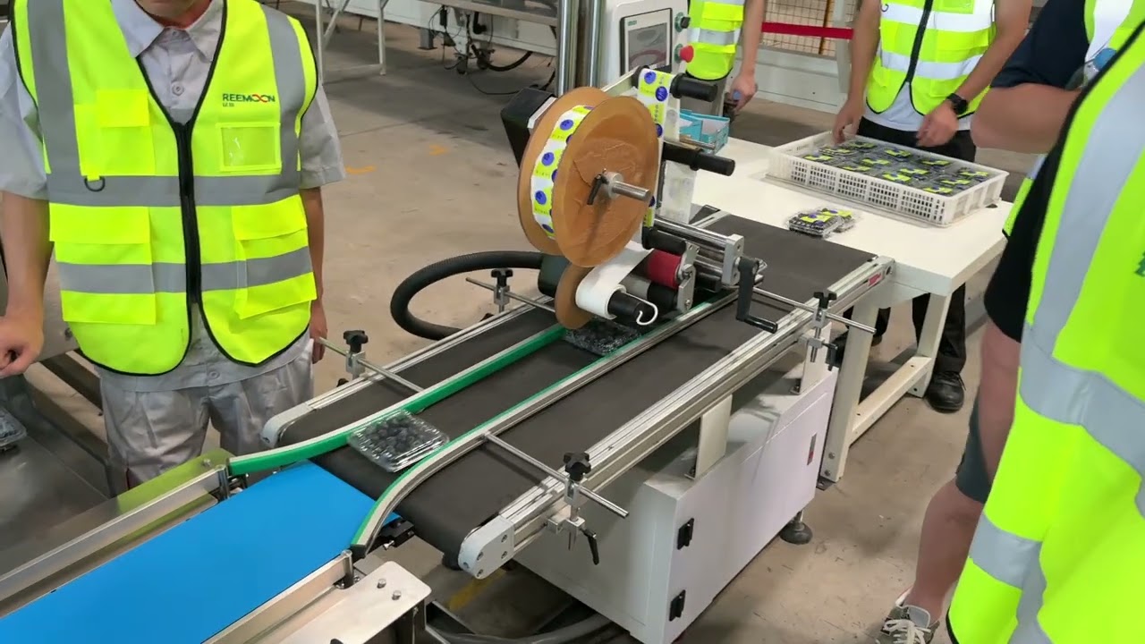 Blueberry Demo Machine   REEMOON