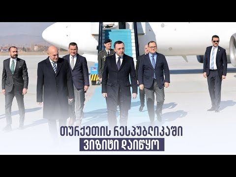 თურქეთის რესპუბლიკაში ვიზიტი დაიწყო