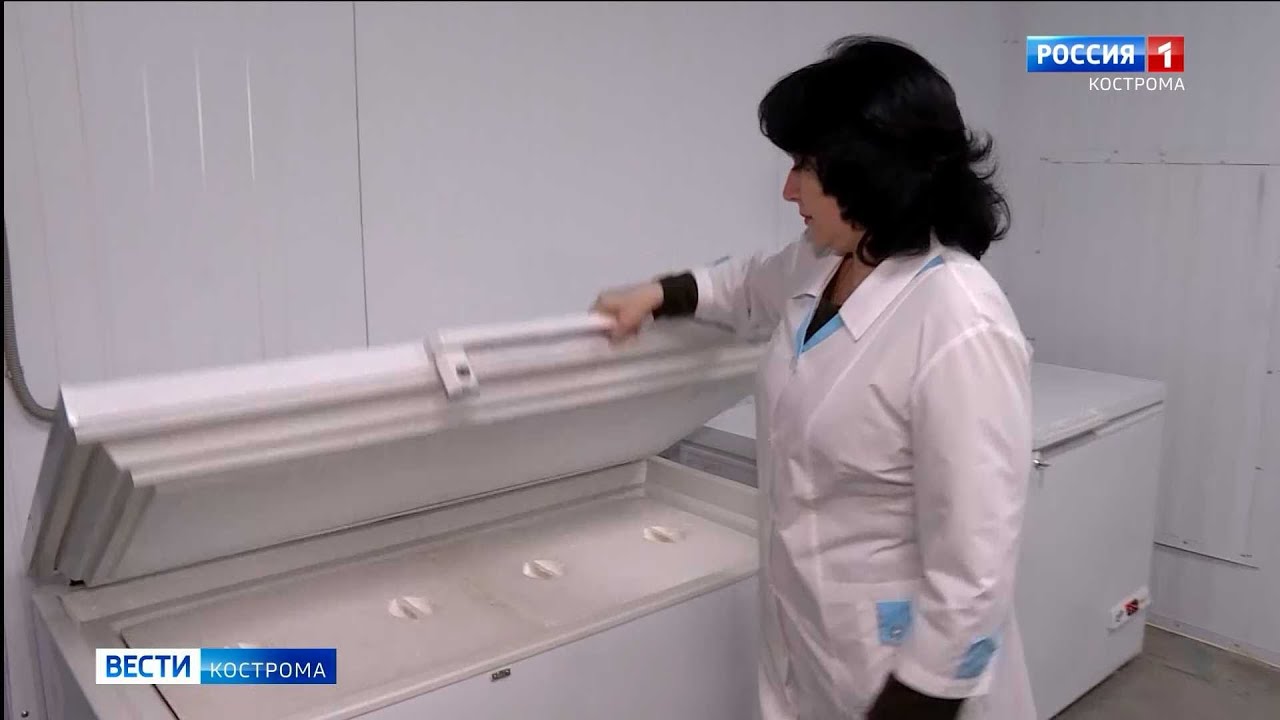 Костромская Областная Аптечная База Кострома