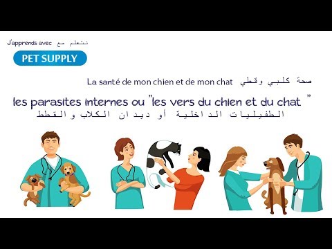 Vidéo: Sensibilisation Aux Zoonoses Et Aux Pratiques De Contrôle Des Parasites: Une Enquête Auprès Des Propriétaires De Chiens Et De Chats Au Qatar