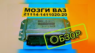 Обзор ЭБУ Bosch 7.9.7+ 21114-1411020-20 Ваз Богдан. Прошивка, продажа, ремонт 1.6 8 клапанов евро-3.