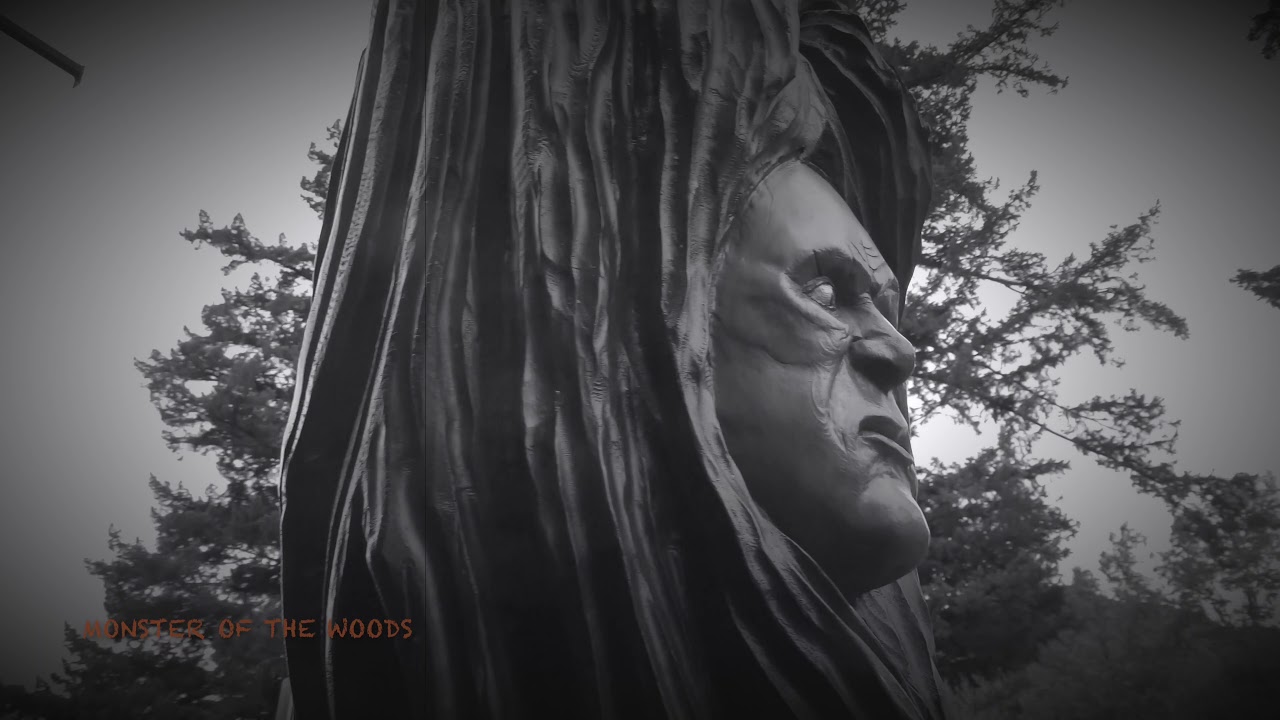 MONSTER of the WOODS heavy weather Fall 2017 YouTube