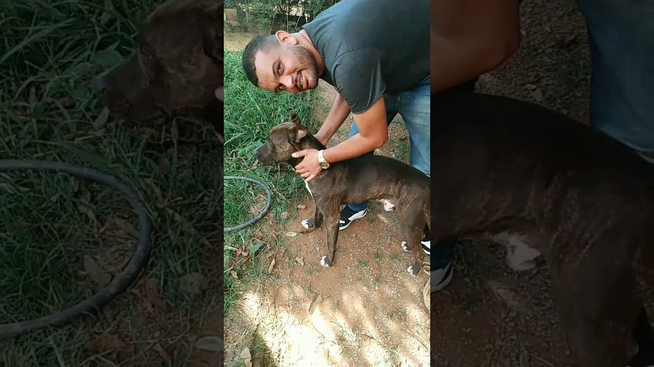 29 de dezembro de 2020