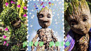 I Am Groot X Paro Paro - Nej 